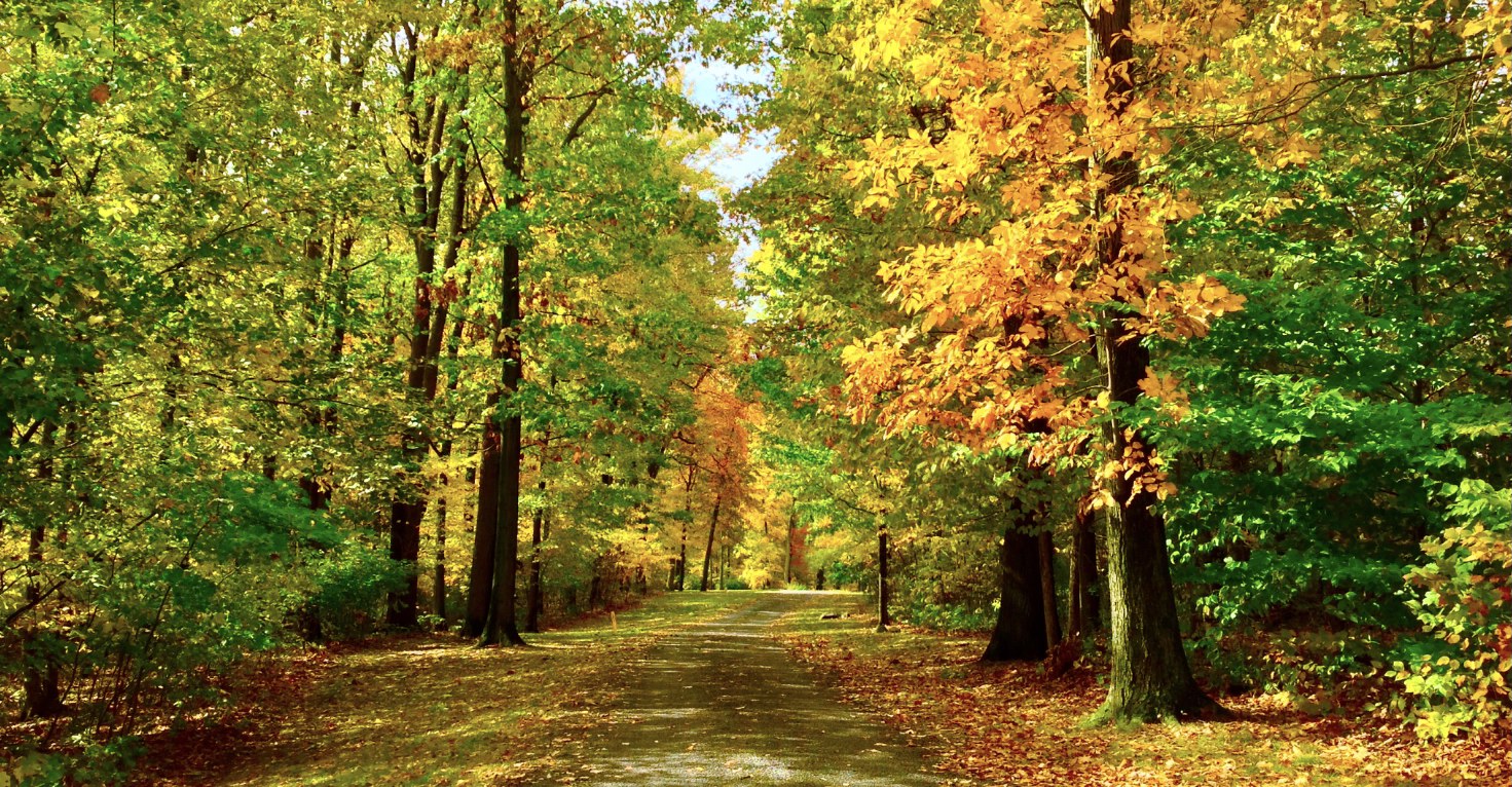 A Penny For My Thoughts